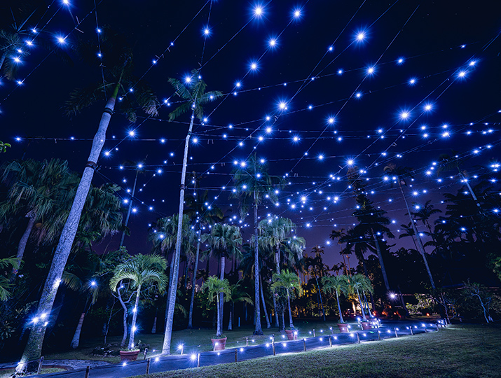 夜の庭園で、ヤシの木の上空に無数の青白いLEDライトが張り巡らされ、まるで星空のように見える写真。手前の遊歩道にも光の装飾がある。